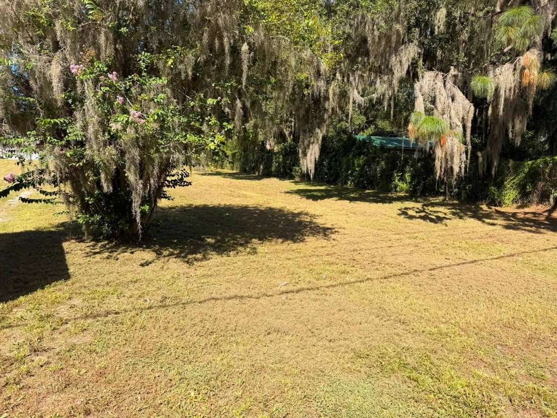 After: mowed lawn beneath moss-draped trees