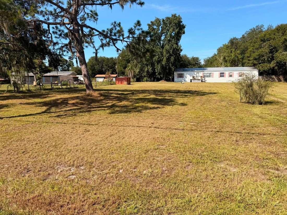 After: wide lot mowed under a tall pine