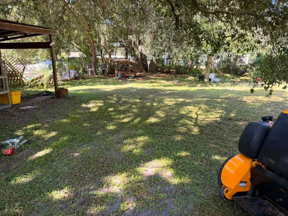 After: shaded back yard cut short and cleared