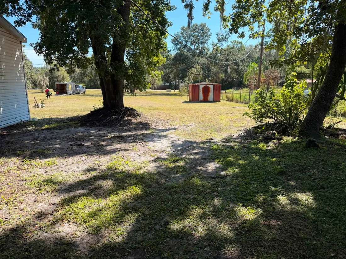 After: mowed yard around the red shed and oak tree