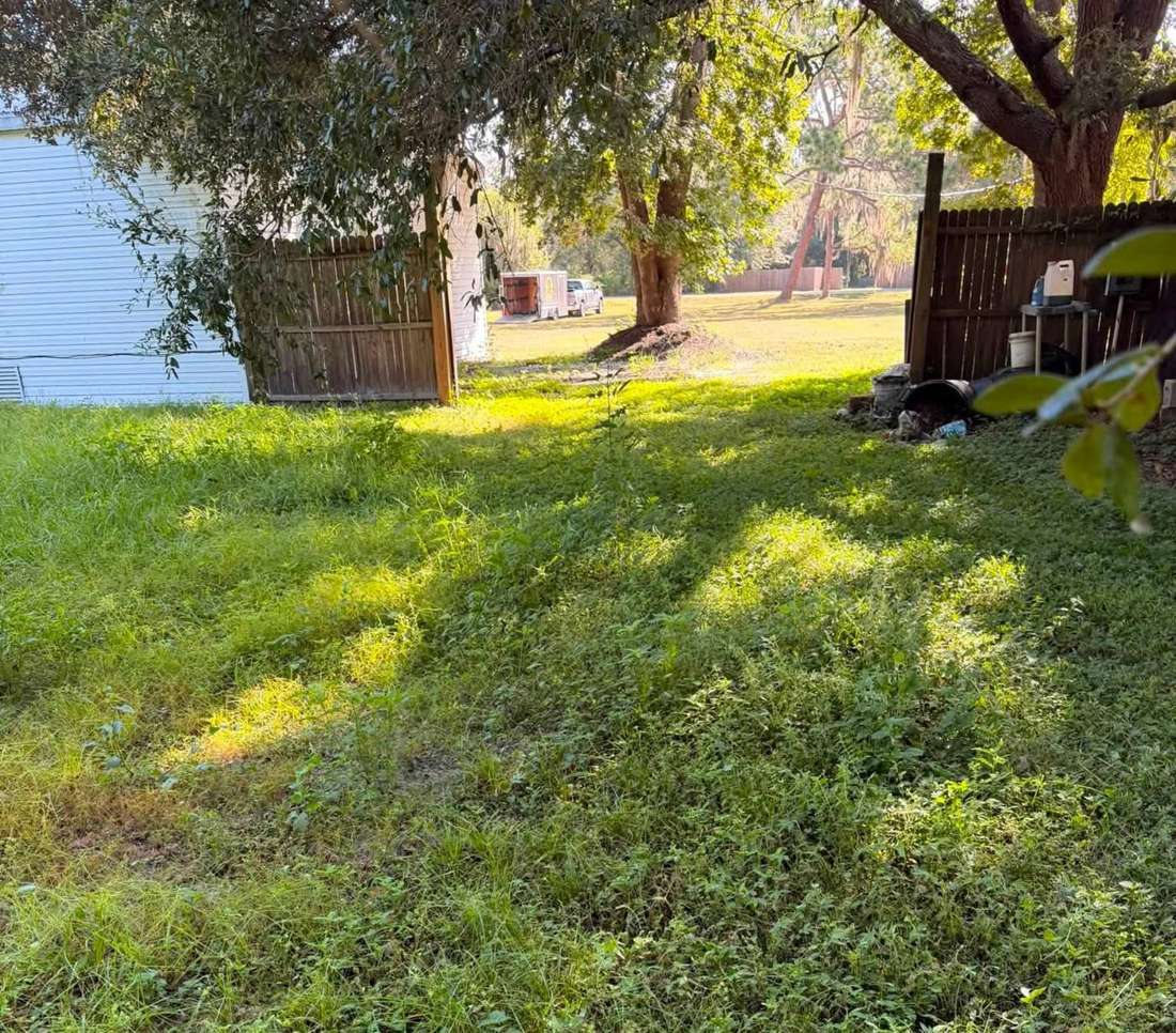 Before: overgrown grass near a fence and home