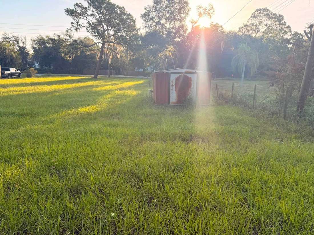 Before: overgrown field around a red shed at sunrise